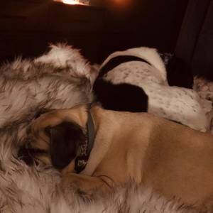 Meet your Posher, Fran